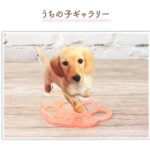 うちの子シリーズ ペットアクリルスタンド90×90mm