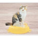 うちの子シリーズ ペットアクリルスタンド90×90mm