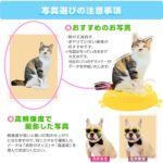 うちの子シリーズ ペットアクリルスタンド90×90mm