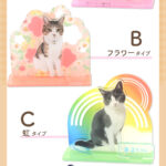 うちの子シリーズ 選べるデザイン アクリルジオラマ100×100mm