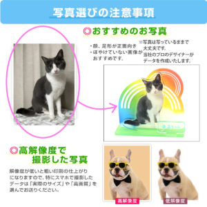 うちの子シリーズ 選べるデザイン アクリルジオラマ100×100mm