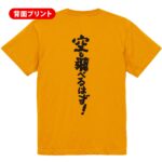 筋トレtシャツ 空も翔べるはず！