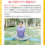 赤い ふんどし
