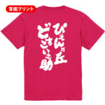 ぴえんヶ丘どすこい之助