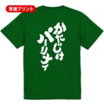 かたじけパーリナイ