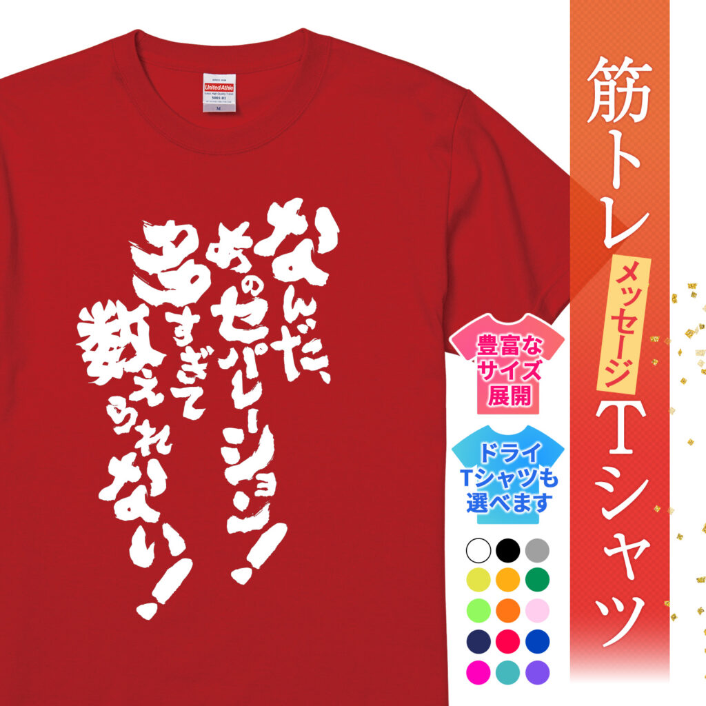筋トレtシャツ なんだあのセパレーション!多すぎて数えられない!